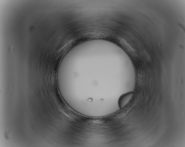 X0000098110165200804040809