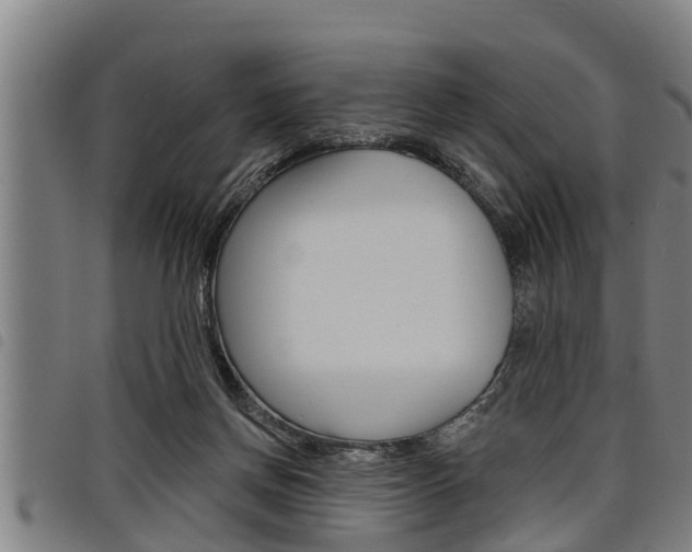 X0000098110166200804040809