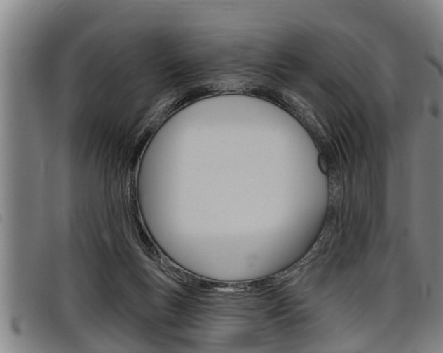 X0000098110167200804040809