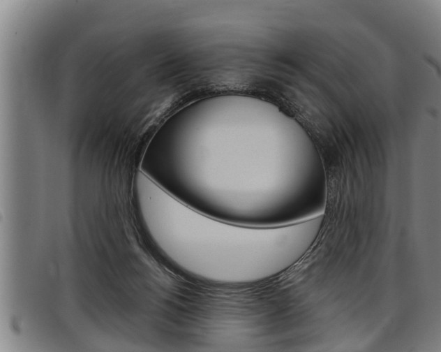 X0000098110168200804040809