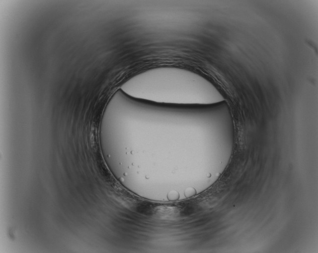 X0000098110169200804040809