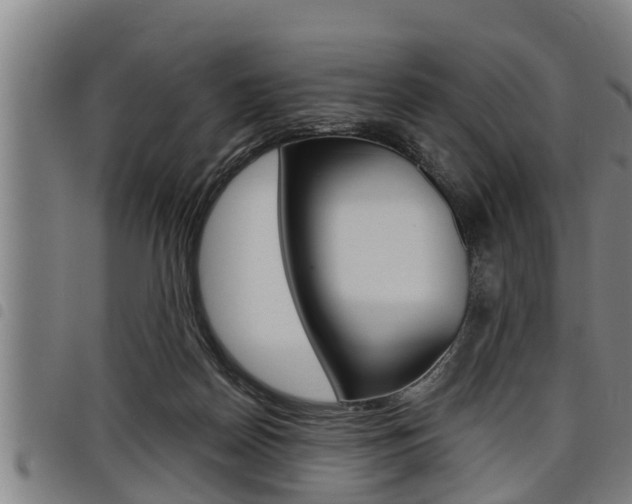 X0000098110170200804040809