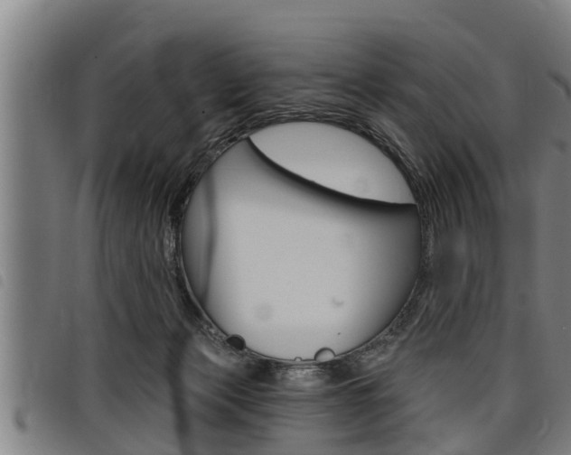 X0000098110173200804040809