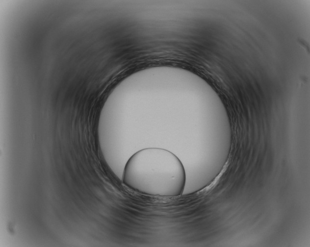 X0000098110174200804040809