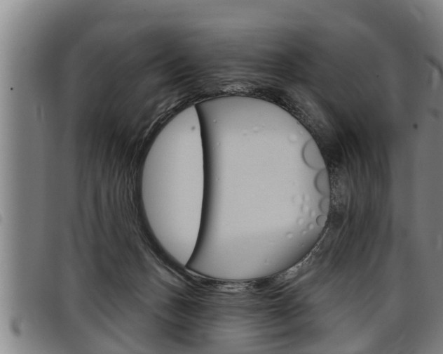 X0000098110175200804040809