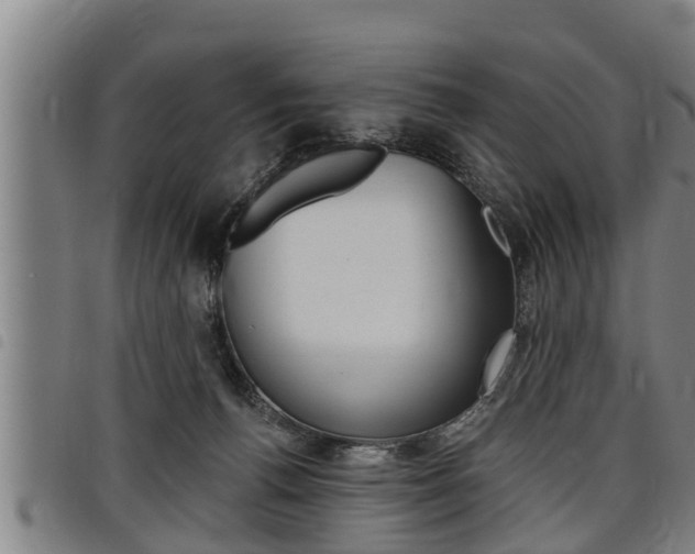 X0000098110176200804040809