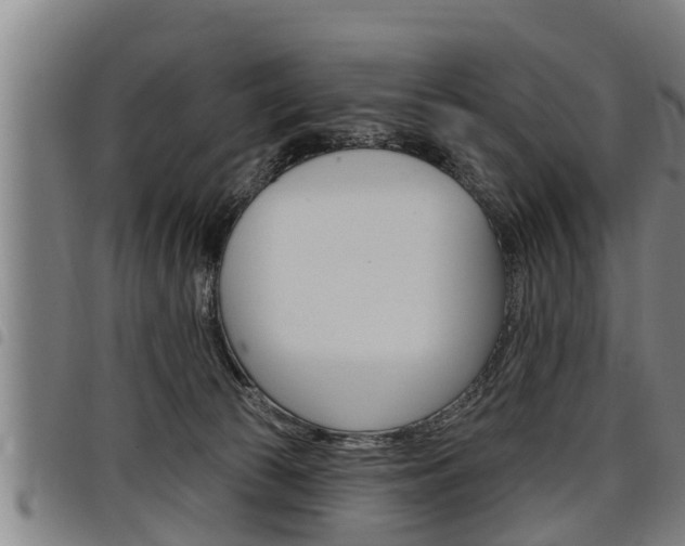 X0000098110177200804040809