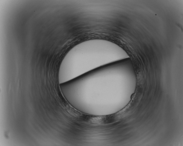 X0000098110178200804040809