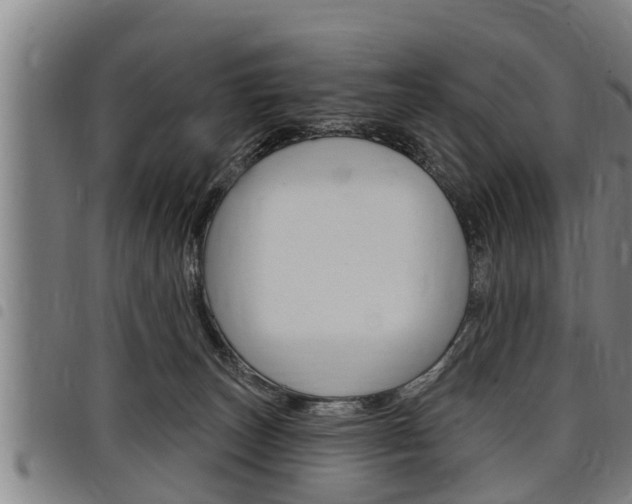X0000098110179200804040809