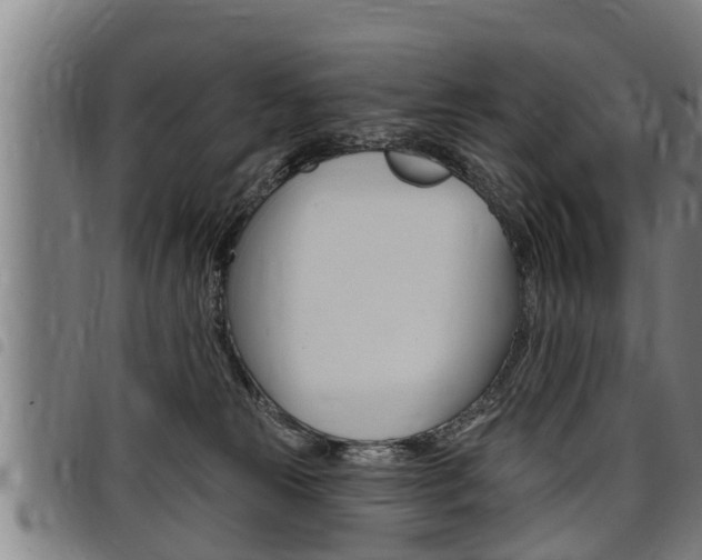 X0000098110181200804040809