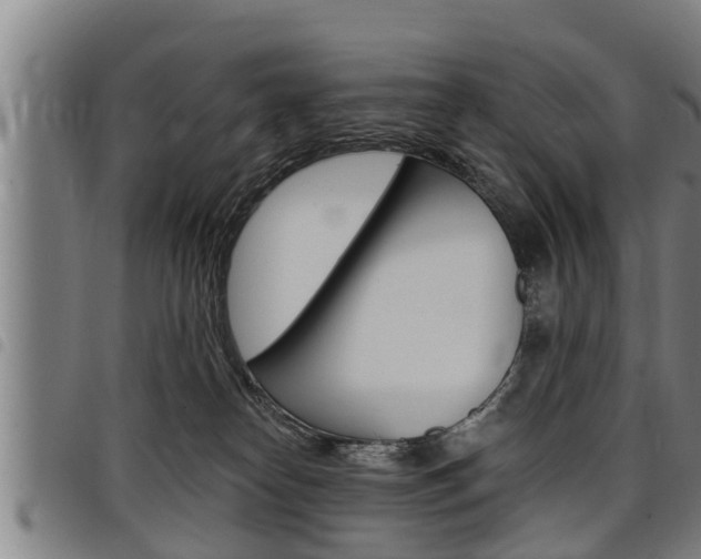 X0000098110182200804040809