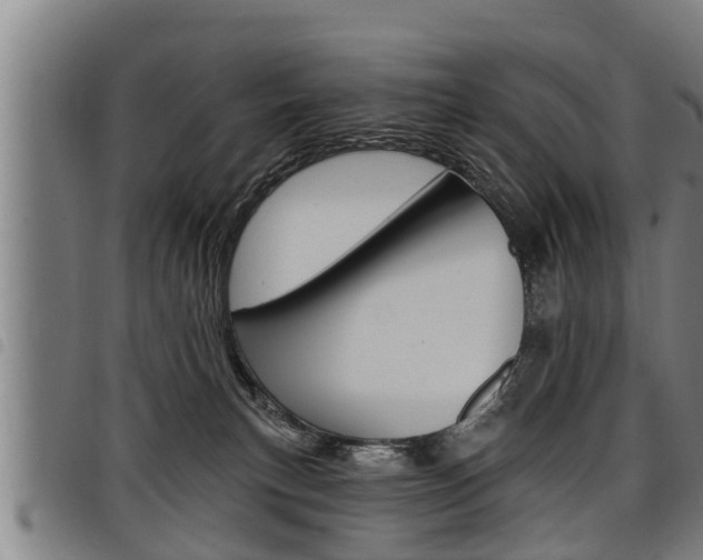 X0000098110183200804040809