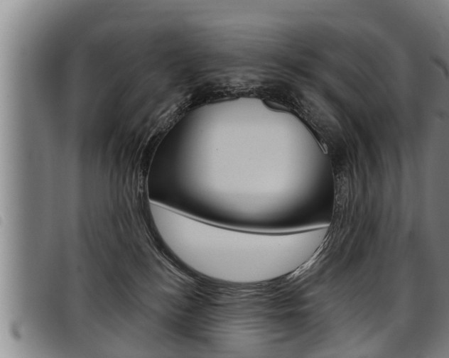 X0000098110184200804040809
