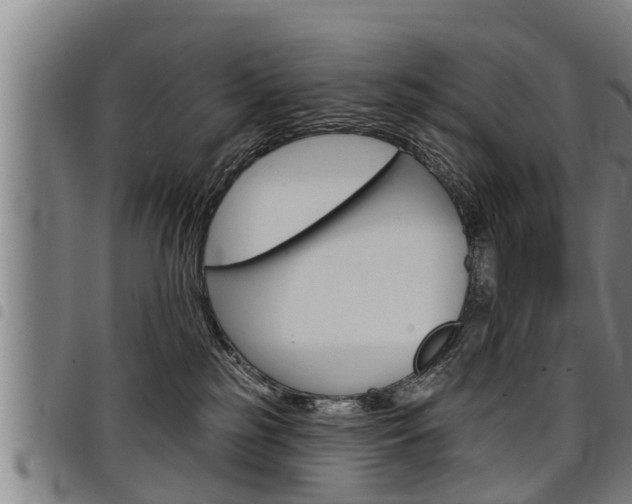 X0000098110185200804040809