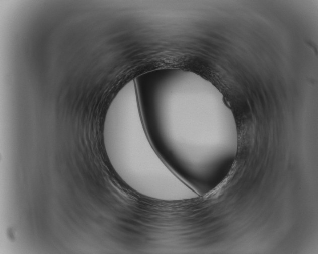 X0000098110186200804040809