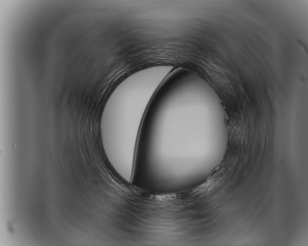 X0000098110188200804040809