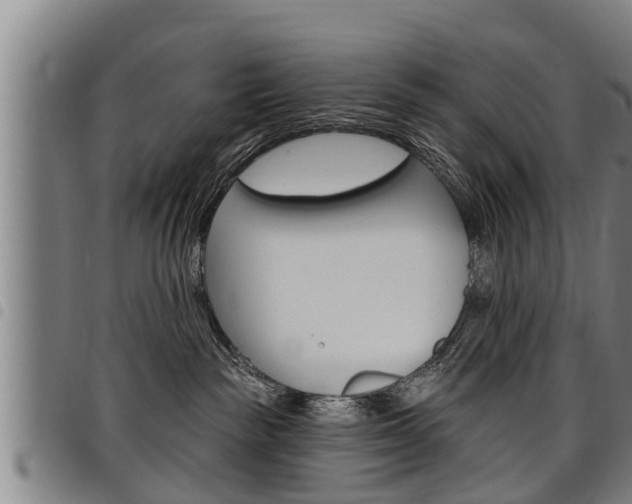X0000098110189200804040809