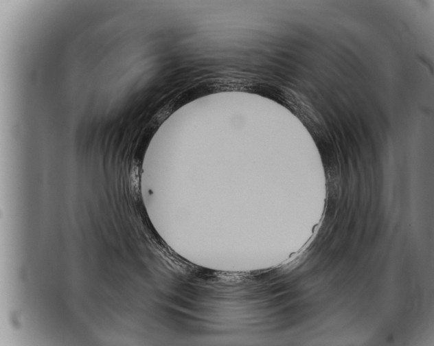 X0000098110190200804040809