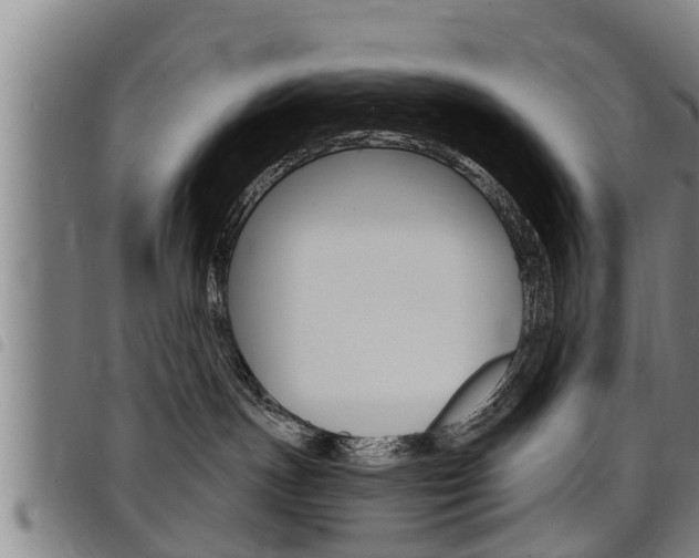 X0000098110191200804040809