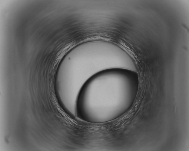 X0000098110193200804040808