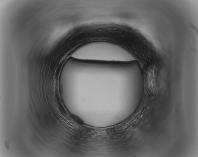 X0000098110194200804040808