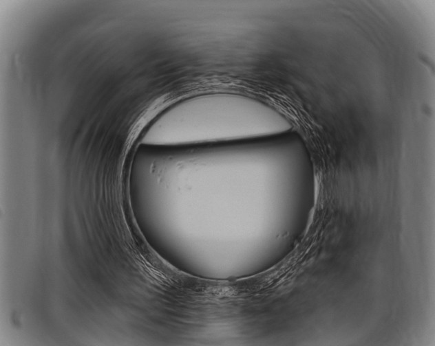 X0000098110195200804040808