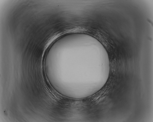 X0000098110196200804040808