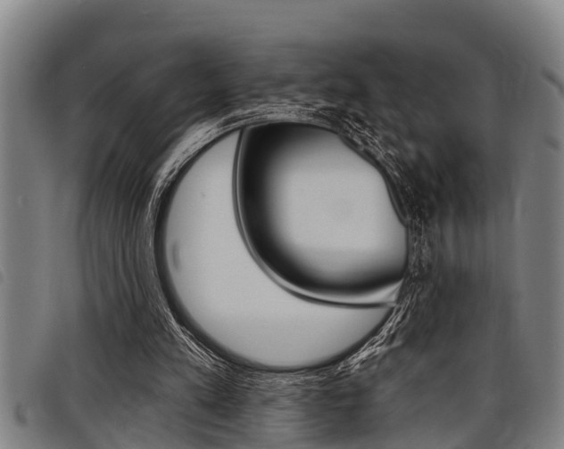X0000098110197200804040808