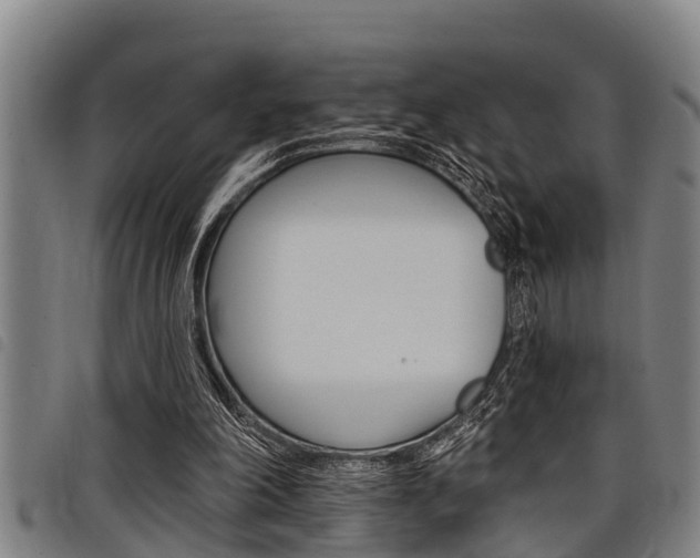 X0000098110198200804040808