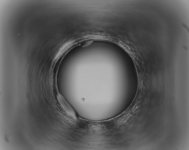 X0000098110199200804040808