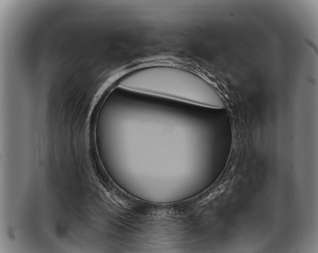 X0000098110200200804040808