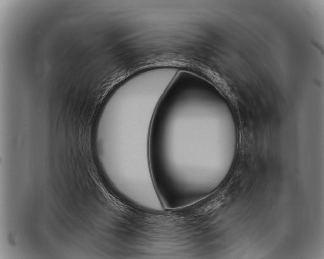 X0000098110201200804040808
