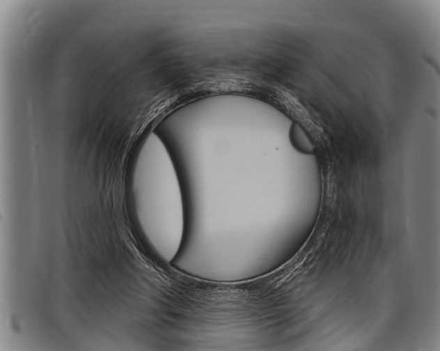 X0000098110202200804040808