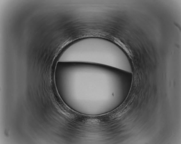 X0000098110203200804040808