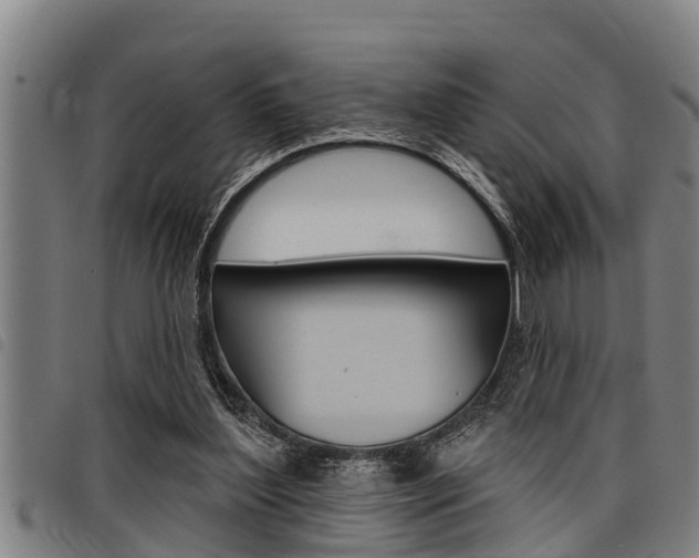 X0000098110204200804040808