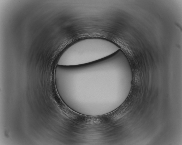 X0000098110206200804040808