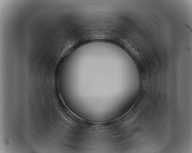 X0000098110207200804040808