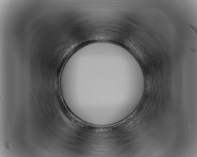 X0000098110208200804040808