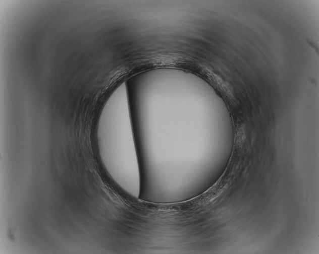 X0000098110209200804040808