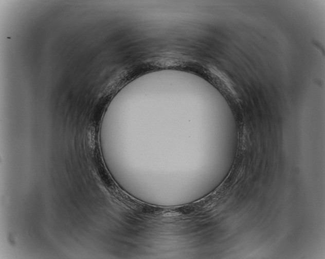 X0000098110210200804040808