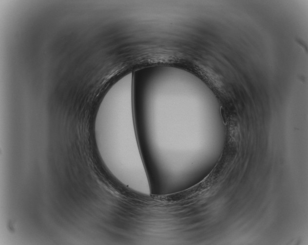 X0000098110211200804040808