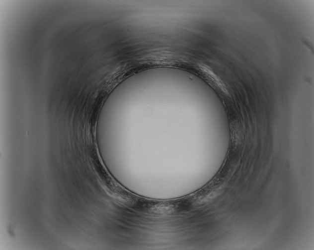 X0000098110213200804040808