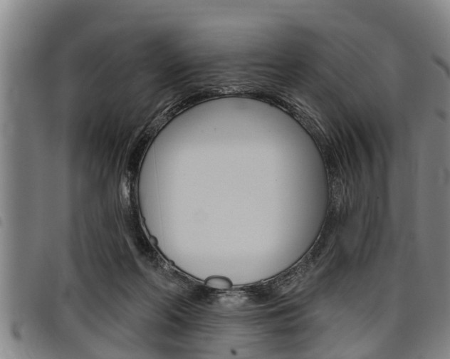 X0000098110214200804040808