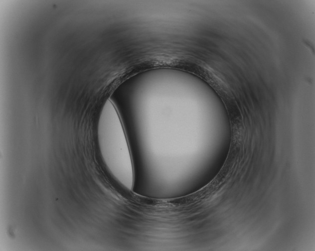 X0000098110215200804040808