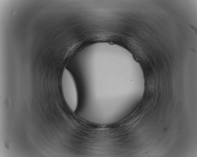 X0000098110216200804040808