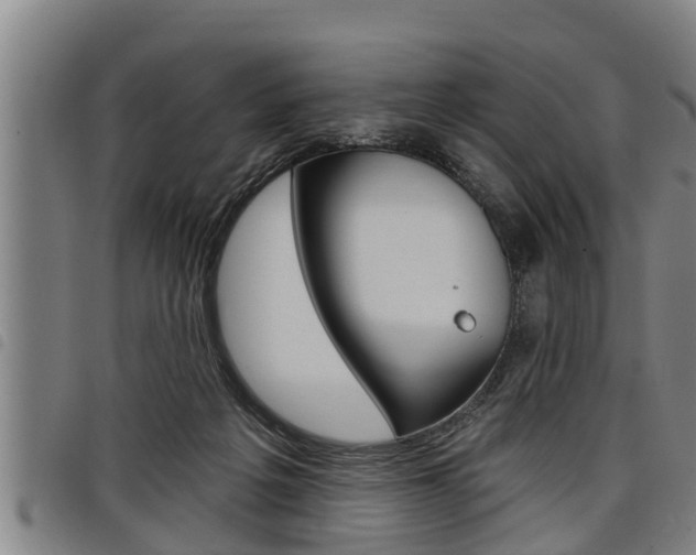 X0000098110217200804040808