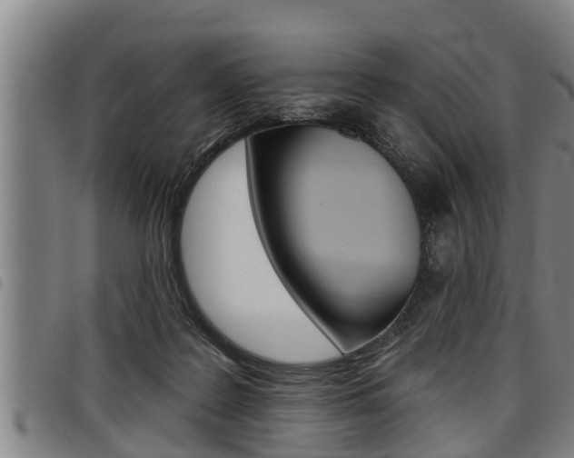 X0000098110219200804040808