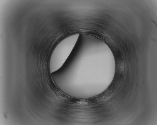 X0000098110220200804040808