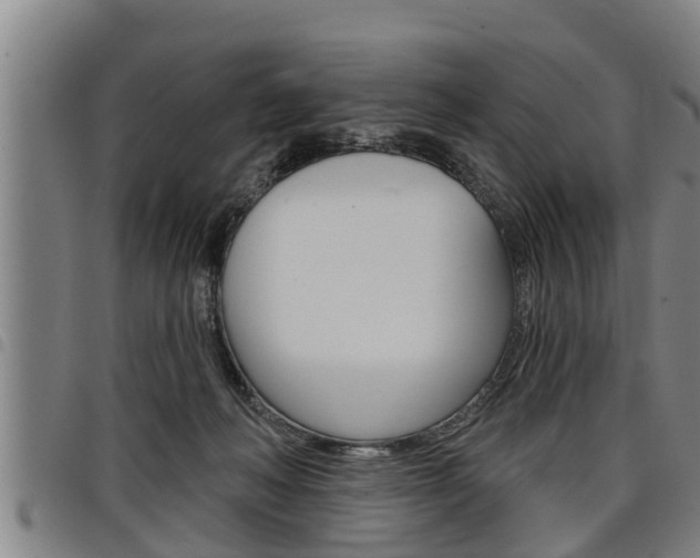 X0000098110222200804040808