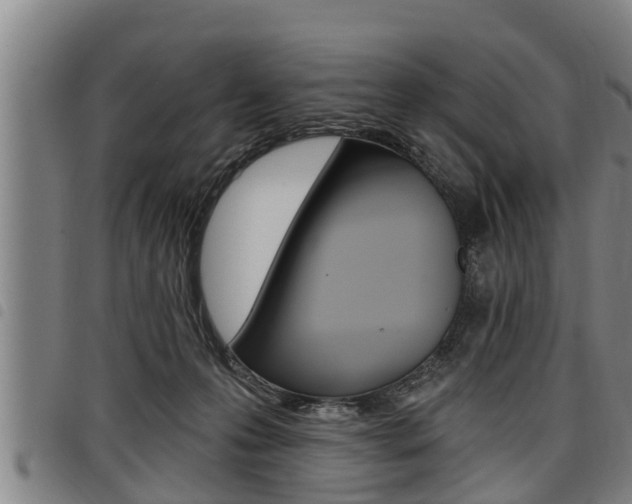 X0000098110223200804040808